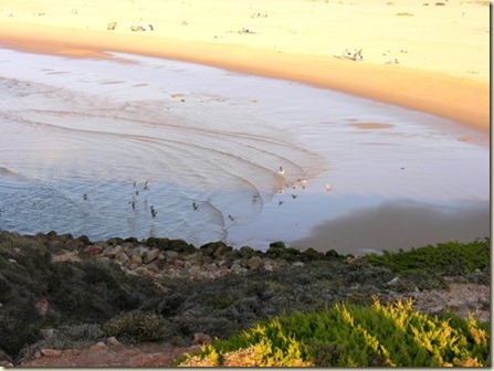 Playa Murracao--