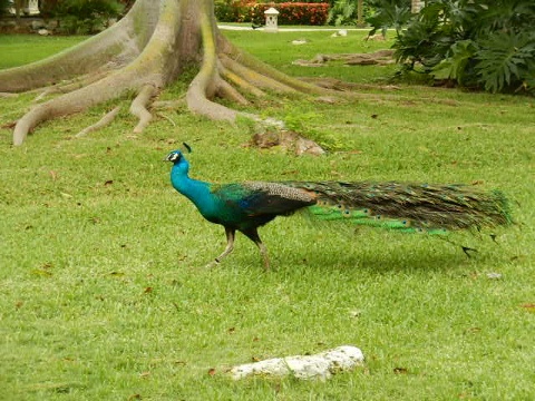 DSCN1011.jpg DSCN1011