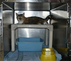 This is a great way for a school or community to help shelter animals in their area.