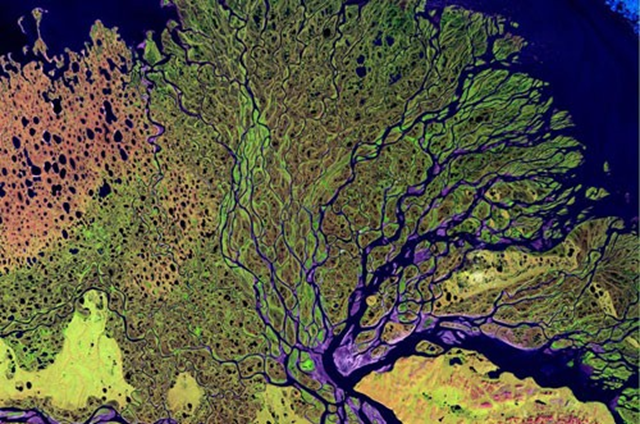 Satellite view of the Lena River delta. NASA