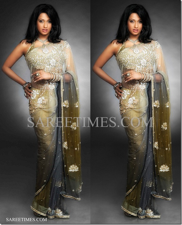 Brinda_Parekh_Embroidery_Saree Brinda_Parekh_Embroidery_Saree
