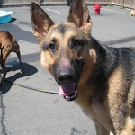 DSCN5066.jpg