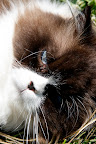 His eyes are so glassy!