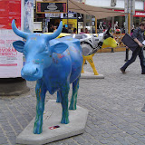 Europe Trip - Cows - cow21.JPG