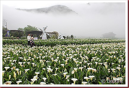 IMG_2703 IMG_2703