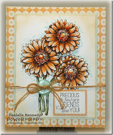 DPK_PP_Gerbera_wm DPK_PP_Gerbera_wm