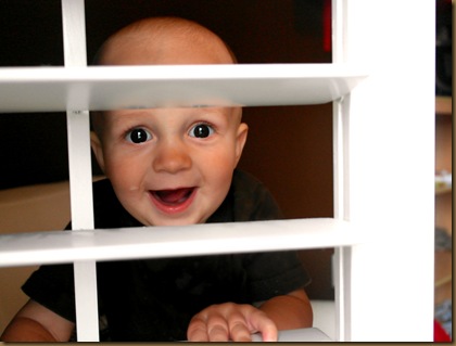 Bo behind blinds