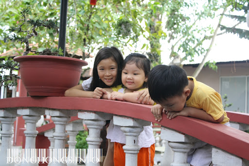 Dong Hong, Thanh Dong, Thu Hong