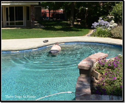 pool fix1