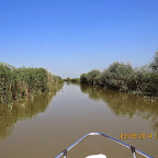 IMG_5741.JPG