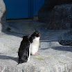 hokkaido_479.jpg