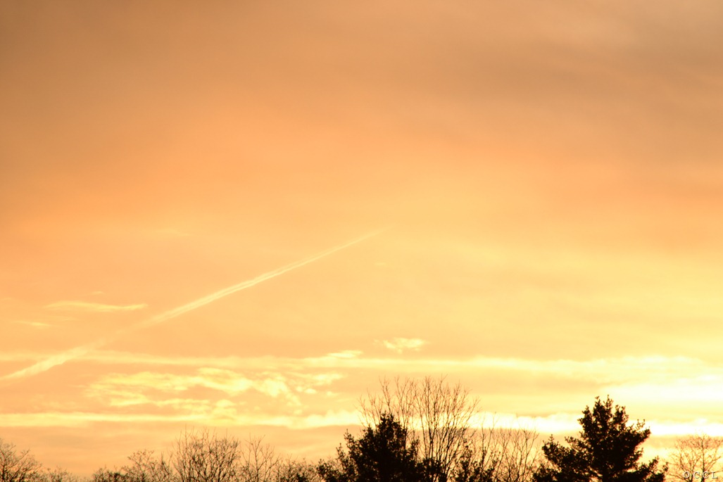 [DSC_4280%255B3%255D.jpg]