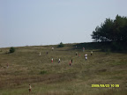 SDC11035.JPG