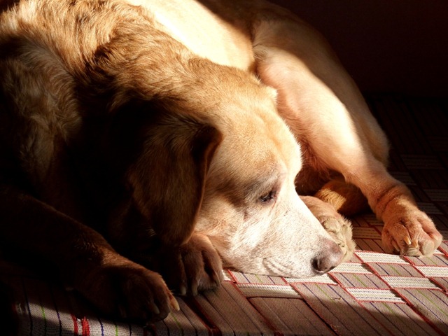 [bud%2520sunshine%255B7%255D.jpg]