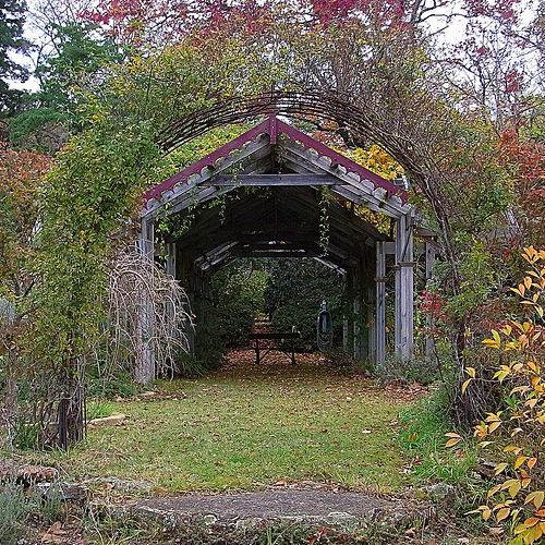 [jardim%255B6%255D.jpg]