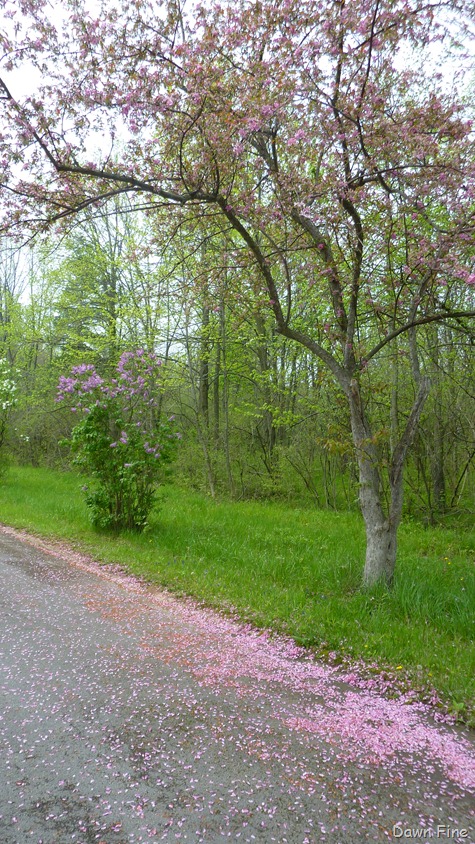 [Sheldons-Marsh-Old-Womans-Creek_0361%255B1%255D.jpg]