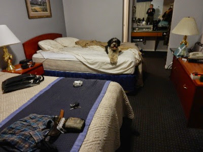DSCN2892.jpg DSCN2892