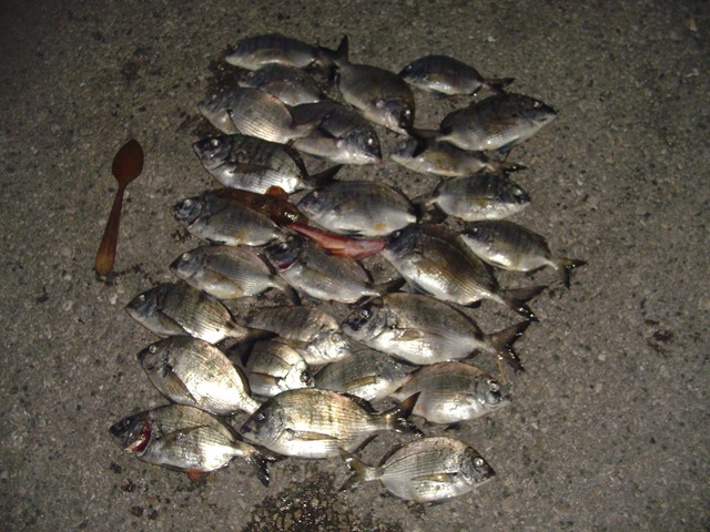 [DSC02050%255B3%255D.jpg]