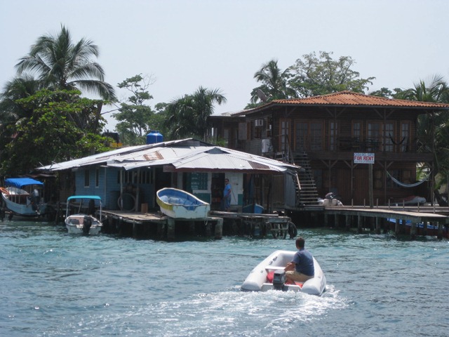[IMG_29287.jpg]