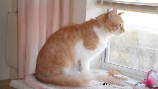 [Terry-2013-03-06%255B3%255D.jpg]