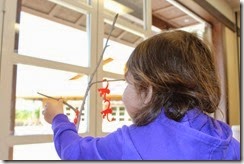 IMG_6448 IMG_6448