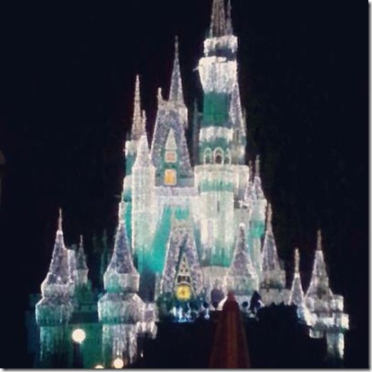 2012-12-30 7 magic kingdom