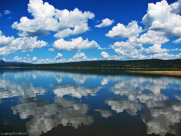 [IMG_4370%255B6%255D.jpg]