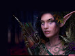 Elven Archer Of Autumn Forest
