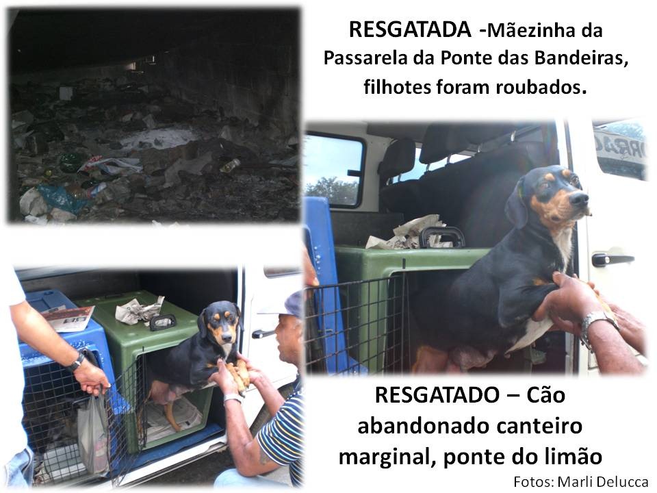 [Slide5%255B2%255D.jpg]