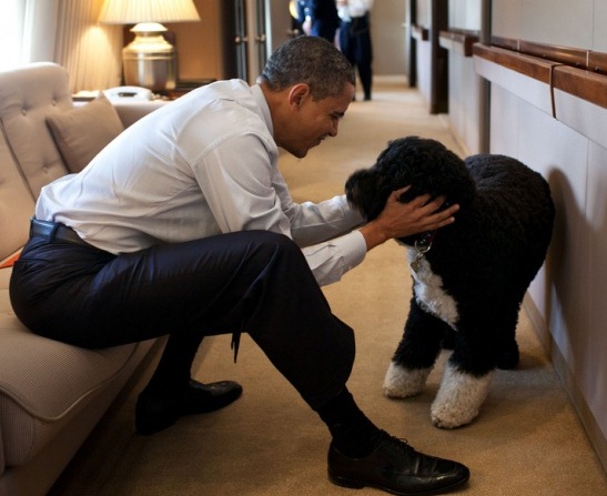 [poor%2520little%2520bo%255B4%255D.jpg]