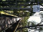 Jan 27 - Suspension Bridge
