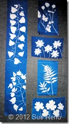 Sue Reno, Seasonal Pallette 10 SueReno_SeasonalPallette10