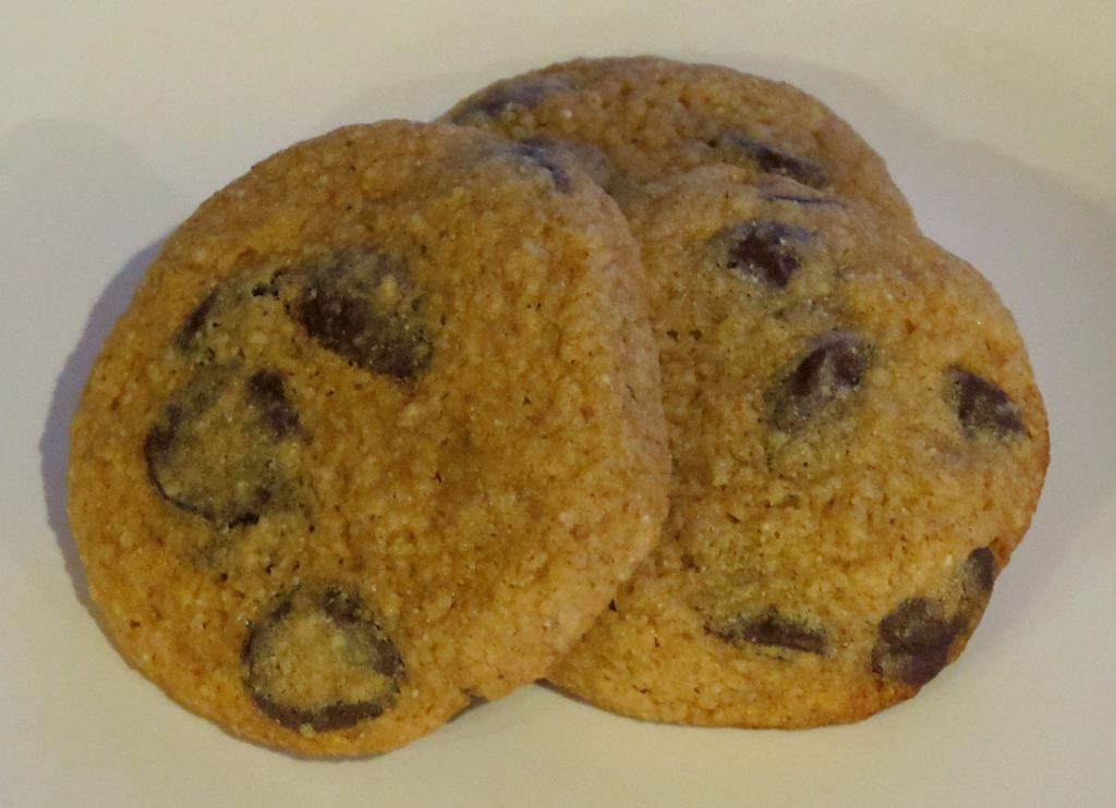 [Cinnamon%2520Banana%2520Chocolate%2520Chip%2520Cookies%25202%255B4%255D.jpg]