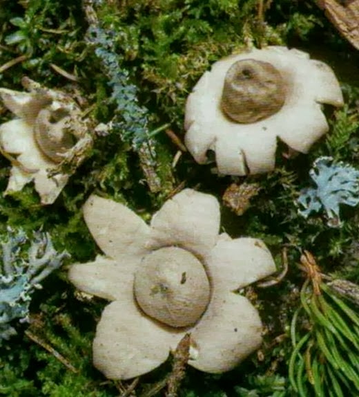 [clip_image007%255B8%255D%255B10%255D.jpg]