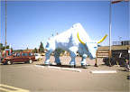 Bull in Paul Bunyard park