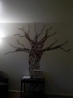 IMG_20110831_182731.jpg