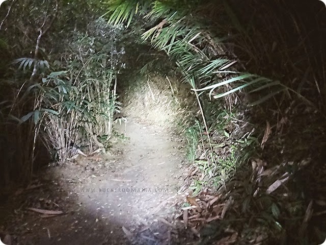 Night-hiking-(1) Night-hiking-(1)