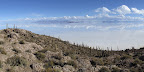 Panorama of the view from the top of Fish Island.
