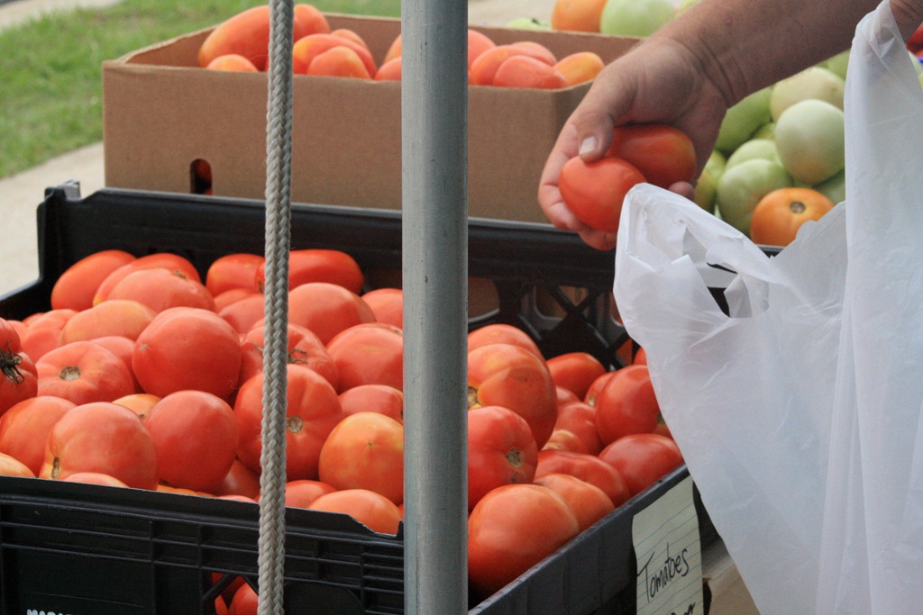 [IMG_6352%255B3%255D.jpg]