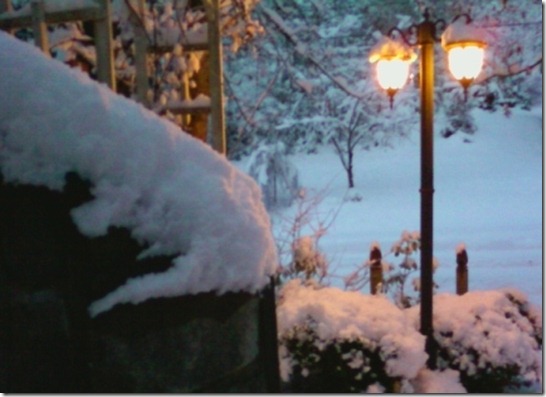 snow7