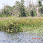 DSCN8245.JPG