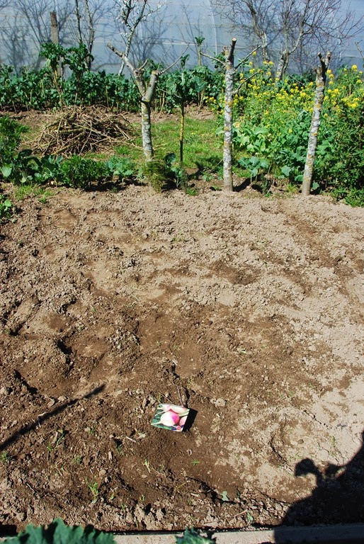 [DSC_0548%255B3%255D.jpg]