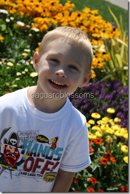 IMG_7493 IMG_7493