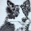 Dessins