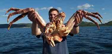 largest-king-crab