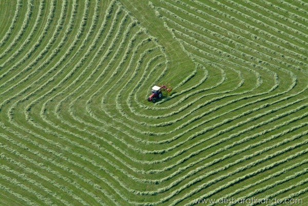 Roter Traktor beim Heuwenden