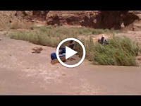 VIDEO0015.3gp