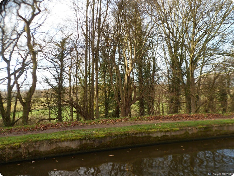 SAM_0039 Shebdon Embankment