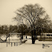 20080110_Snow Downtown_4605 copy.jpg