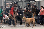 ...and whatever else his human comrades are willing to endure for their beliefs. ...and whatever else his human comrades are willing to endure for their beliefs.